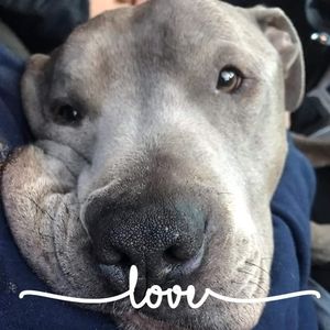 Meet your Posher, Michele